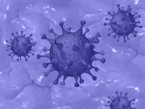 Coronavirus | Aktuelle Infos für Gäste und Gastgeber