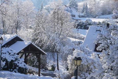 Winter-Impressionen Sasbachwalden 