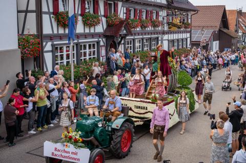 Wagen von Weingott Bacchus!