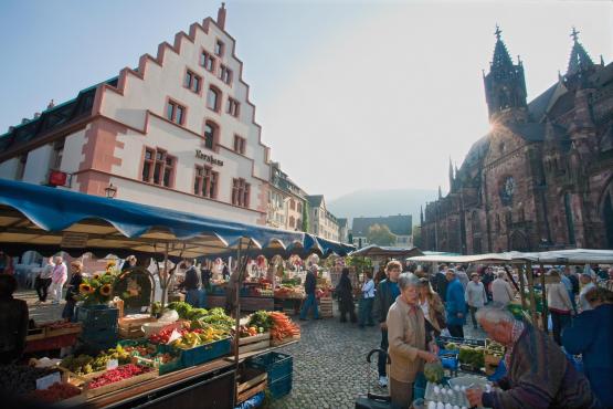 Freiburg Münsterplatz & Markt