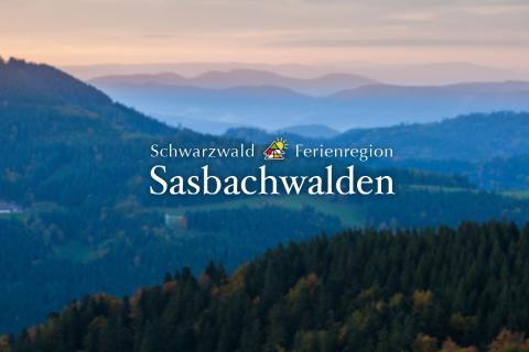 Platzhalter_Logo_panorama