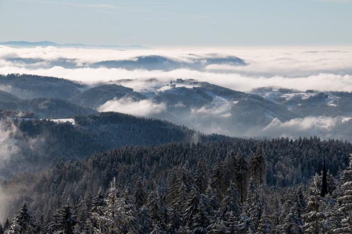 Winter-Panorama von der Hornisgrinde
